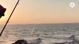 Al Ruwais, Qatar — fishing time: рабочие точки у мола