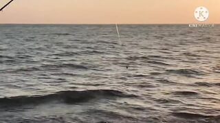 Al Ruwais, Qatar — fishing time: рабочие точки у мола