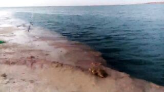 Ruwais — Yahaiya fishing: клев у порта и проверка точек