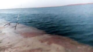 Ruwais — Yahaiya fishing: клев у порта и проверка точек