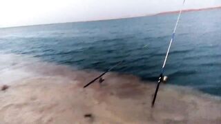 Ruwais — Yahaiya fishing: клев у порта и проверка точек