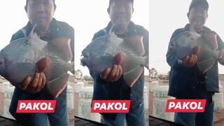 Вот это трофей: что за рыба попалась на крючок у берега?