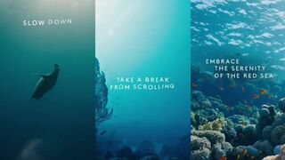 NEOM underwater — под водой красиво, а как с рыбалкой на бровках?