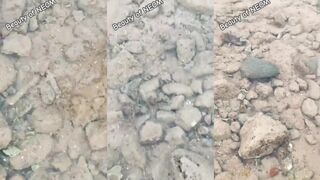 Подозрительная рыбка: отпускная встреча у кромки воды