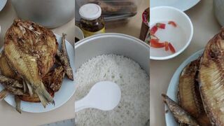 NEOM - морская рыбалка в новых маринах: первые впечатления