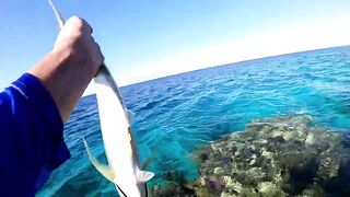 NEOM Fishing Adventures - морская рыбалка в бухтах Неома