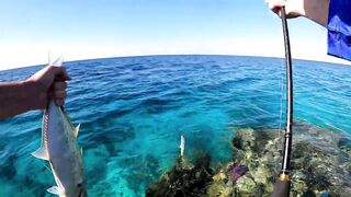 NEOM Fishing Adventures - морская рыбалка в бухтах Неома