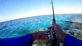 NEOM Fishing Adventures - морская рыбалка в бухтах Неома