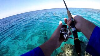 NEOM Fishing Adventures - морская рыбалка в бухтах Неома