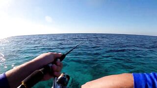 NEOM Fishing Adventures - морская рыбалка в бухтах Неома