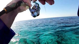 NEOM Fishing Adventures - морская рыбалка в бухтах Неома