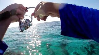 NEOM Fishing Adventures - морская рыбалка в бухтах Неома