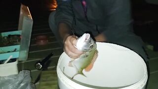 NEOM Port — ночная морская рыбалка в Саудовской Аравии