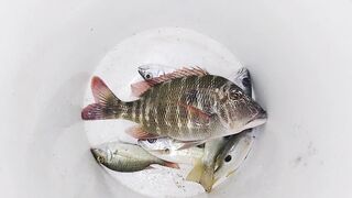 NEOM Port — ночная морская рыбалка в Саудовской Аравии