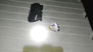 NEOM Port — ночная морская рыбалка в Саудовской Аравии