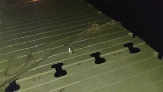 NEOM Port — ночная морская рыбалка в Саудовской Аравии