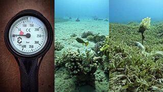 NEOM–Aqaba–Jordan: дайв и дрейф — морская рыбалка в ветреный день, как быть?