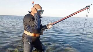 NEOM City - морская рыбалка в Красном море: первые точки