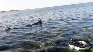 NEOM City - морская рыбалка в Красном море: первые точки