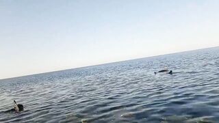 NEOM City - морская рыбалка в Красном море: первые точки