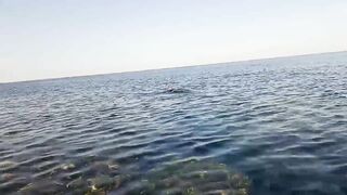 NEOM City - морская рыбалка в Красном море: первые точки