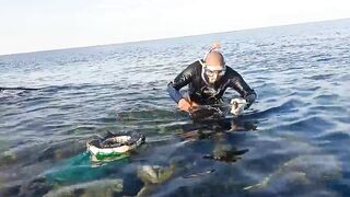 NEOM City - морская рыбалка в Красном море: первые точки