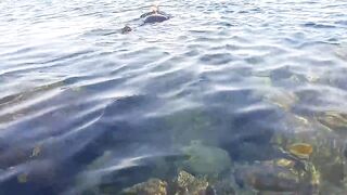 NEOM City - морская рыбалка в Красном море: первые точки