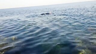 NEOM City - морская рыбалка в Красном море: первые точки