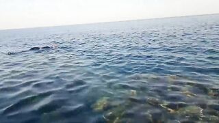 NEOM City - морская рыбалка в Красном море: первые точки