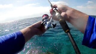 NEOM Fishing Adventures: маршруты катера и точки по ветру