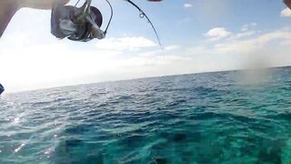 NEOM Fishing Adventures: маршруты катера и точки по ветру