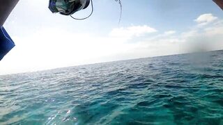 NEOM Fishing Adventures: маршруты катера и точки по ветру