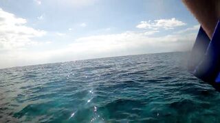 NEOM Fishing Adventures: маршруты катера и точки по ветру