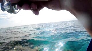 NEOM Fishing Adventures: маршруты катера и точки по ветру