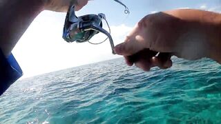 NEOM Fishing Adventures: маршруты катера и точки по ветру