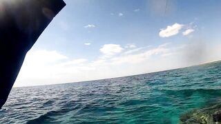 NEOM Fishing Adventures: маршруты катера и точки по ветру