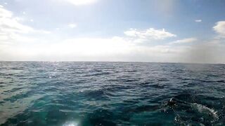 NEOM Fishing Adventures: маршруты катера и точки по ветру