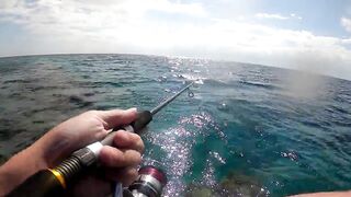 NEOM Fishing Adventures: маршруты катера и точки по ветру