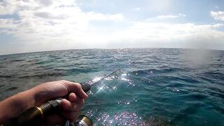 NEOM Fishing Adventures: маршруты катера и точки по ветру