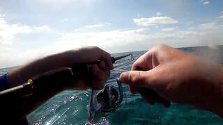 NEOM Fishing Adventures: маршруты катера и точки по ветру