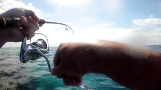 NEOM Fishing Adventures: маршруты катера и точки по ветру