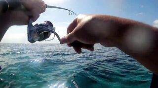 NEOM Fishing Adventures: маршруты катера и точки по ветру