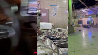 NEOM - как покупать свежую рыбу: советы после утренней рыбалки