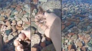 Haql, Saudi Arabia - улов с пляжа: что берёт на лёгкую снасть