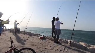 Haql road trip - дорога, вид на NEOM, рыбалка по пути