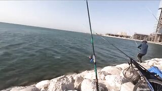 Haql road trip - дорога, вид на NEOM, рыбалка по пути