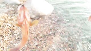 Haql, Tabuk - береговая рыбалка на Красном море: что берёт