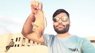 Haql, Tabuk - береговая рыбалка на Красном море: что берёт