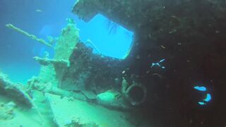 Haql, Saudi Arabia: дайвинг и рыбалка рядом с рифом