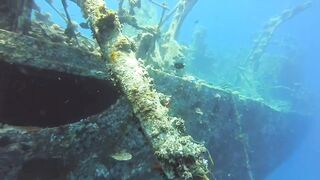 Haql, Saudi Arabia: дайвинг и рыбалка рядом с рифом